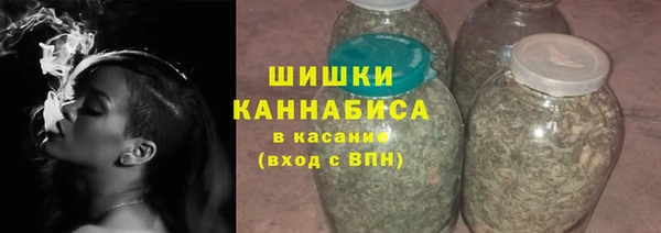 дживик Заводоуковск