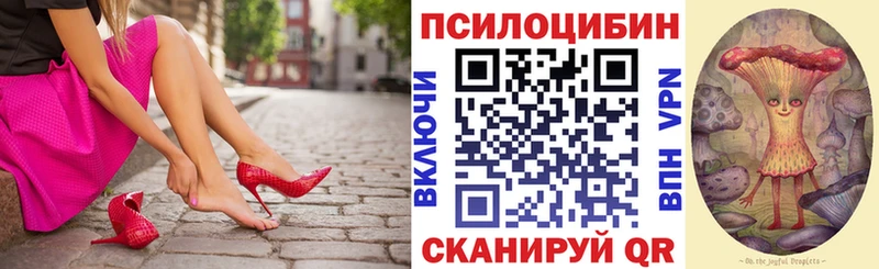 Купить  Истра  Псилоцибиновые грибы Psilocybe 
